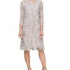 Alex Evenings Short Embroidered Mock Dress with Illusion Sleeves | Dresses